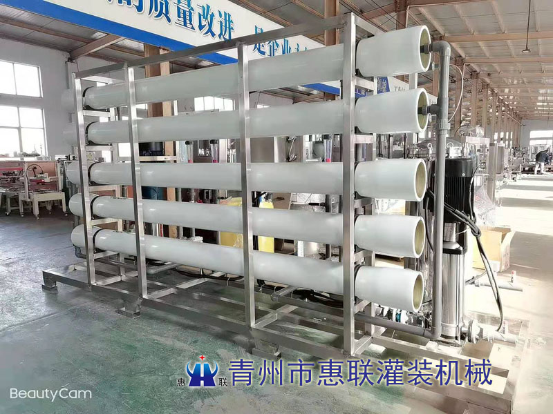 6噸雙級水處理設(shè)備